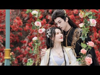 第14話 襲撃の黒幕