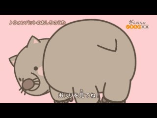 ep1 コアラはユーカリにふくまれる猛毒のせいで一日中寝ている/テントウムシは鳥がはき出すほどまずい/ウォンバットのうんこは四角い