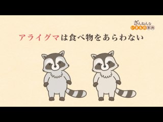 ep2 アライグマは食べ物をあらわない/サバクツノトカゲはピンチになると、目から血を出す/オカモノアラガイはびょうきになるとキャラが変わる