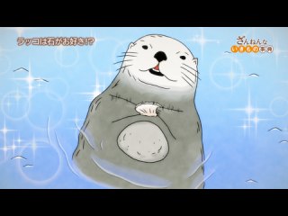 ep4 バビルサのツノのように見えるのは、上あごのキバ/バンは弟や妹の世話に疲れて家出する/ラッコはお気に入りの石をなくすとごはんが食べられなくなる