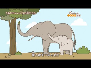 ep7 ウミイグアナはくしゃみをすると塩が出る/ハチドリはつねに蜜をなめていないと餓死する/うまれたばかりのゾウは長い鼻をもてあます