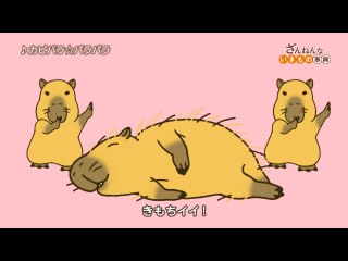 ep11 シマリスのしっぽはかんたんに切れるが、再⽣はしない/ニュウドウカジカは陸にあげられるとおじさんっぽくなる/カピバラはおしりグリグリされると寝てしまう