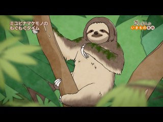ep17 ハリセンボンはふくらむと泳げないしごはんも食べられない/ミユビナマケモノのおやつは体に生えたコケ/ティラノサウルスは肉の食べすぎで病気になった
