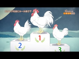 ep18 弱いニワトリは鳴きたくても鳴けない/ほとんどのホタルは光らない/一匹オオカミは弱い