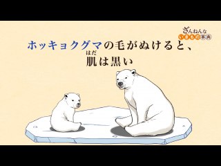 ep21 フラミンゴは25m助⾛しないと⾶べない/ホッキョクグマの⽑がぬけると、肌(はだ)は⿊い/インドコブラは⾳が聞こえないのにおどる