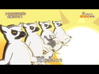 ep24 ワオキツネザルの1⽇は太陽をおがまないと始まらない/トマトは200年くらいほっとかれた/カタツムリはカラフルなうんこを心をこめておりたたむ