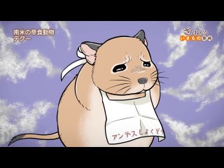 ep29 オオトウゾクカモメは罪深い/タコはイルカに遊ばれる だが、イルカはタコがつまって死ぬことがある/デグーはお腹が空きすぎるとウシのウンコに手を出す