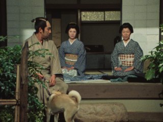 第10回 女房無用