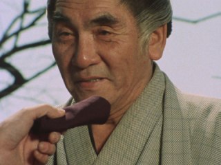 第13回 休診無用