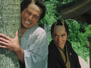 第18回 同情無用