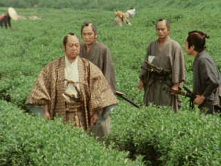 第3回 駿州片倉茶園ノ不二