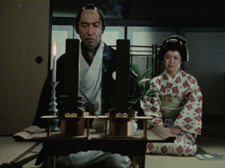 第16回 綺麗な花には何故刺があるのか?