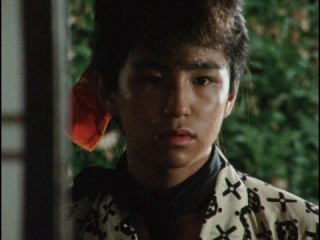 第39話 加代エリマキトカゲを目撃する