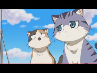 第5話 ねこねこの日