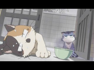 第11話 風邪の日と、ねこねこ part3
