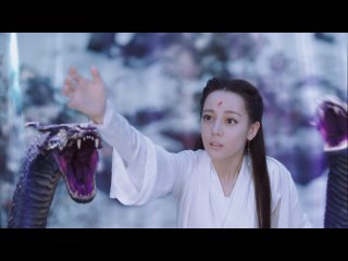 第34話 命懸けの願い