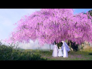 第56話 天命の行方