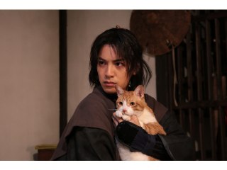 三の巻 「猫」と「金魚」!?