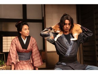 六の巻 「猫」を「成敗」!?