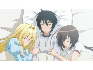 第七羽 黒ノ鶺鴒