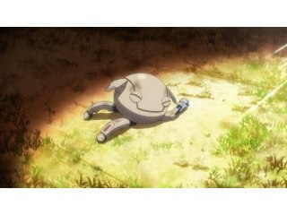 phase 11 共鳴：resonance