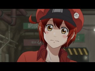 #5 スギ花粉アレルギー