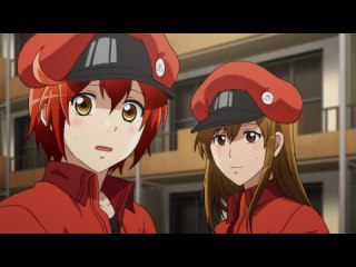 #7 がん細胞
