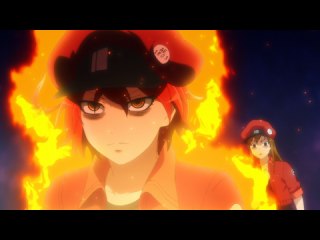 #8 血液循環
