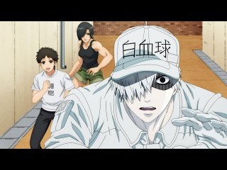 第5話 サイトカイン