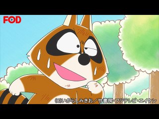 #87 アライグマくんとアカカくん