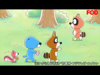 #155 アライグマくんの恋