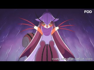 #249 クモモの姉