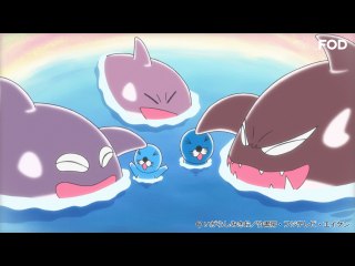 #265 シャチの島