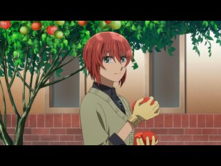 第17話 Gather ye rosebuds while ye may.