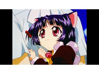 にゃーの1 「はじまりはじまり」