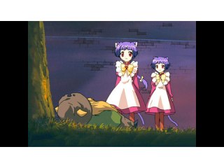 にゃーの9 「てくてく」