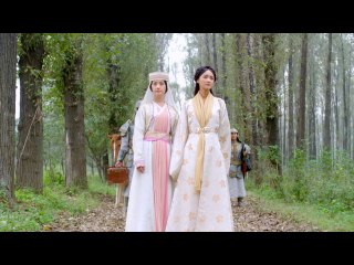 第14話 太后の病