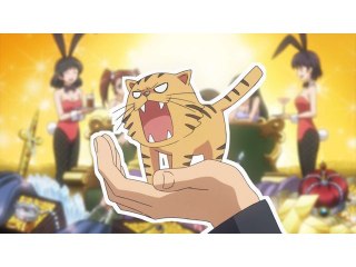 第14話 しあわせの手乗りタイガー