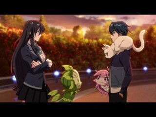 第4話 最後の晩餐