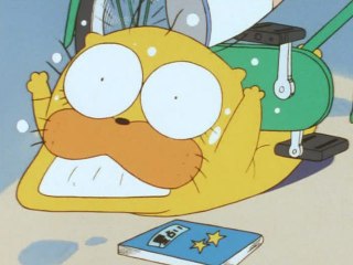 #60 大当り?星占い