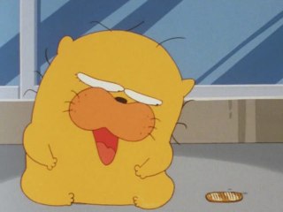 #81 ネコと小判と大判焼先生