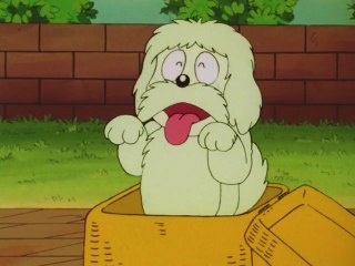 #572 ペットは楽し?の巻