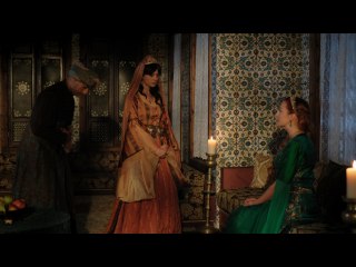 第50話 イチジクの木