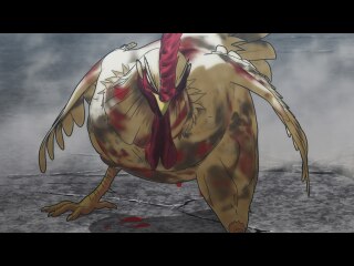 11羽 孤掌難鳴