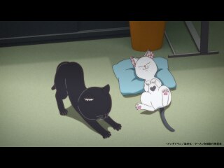 二杯目 『ハナちゃんのプロ意識』『製麺室の⻁』