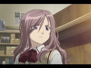 第19話 アルマジロとセンザンコウ