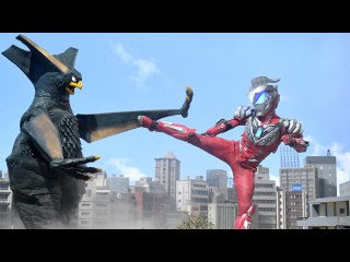 第20話 午前10時の怪鳥