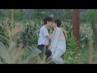 第5話 突き進め　悪党が守ってやる