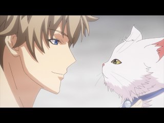 第6話 猫たちの旅
