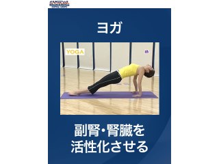 #30 ヨガ・副腎・腎臓を活性化させる